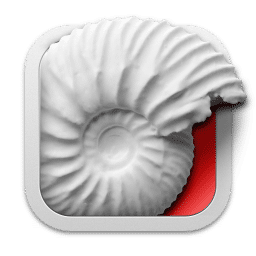 Ammonite